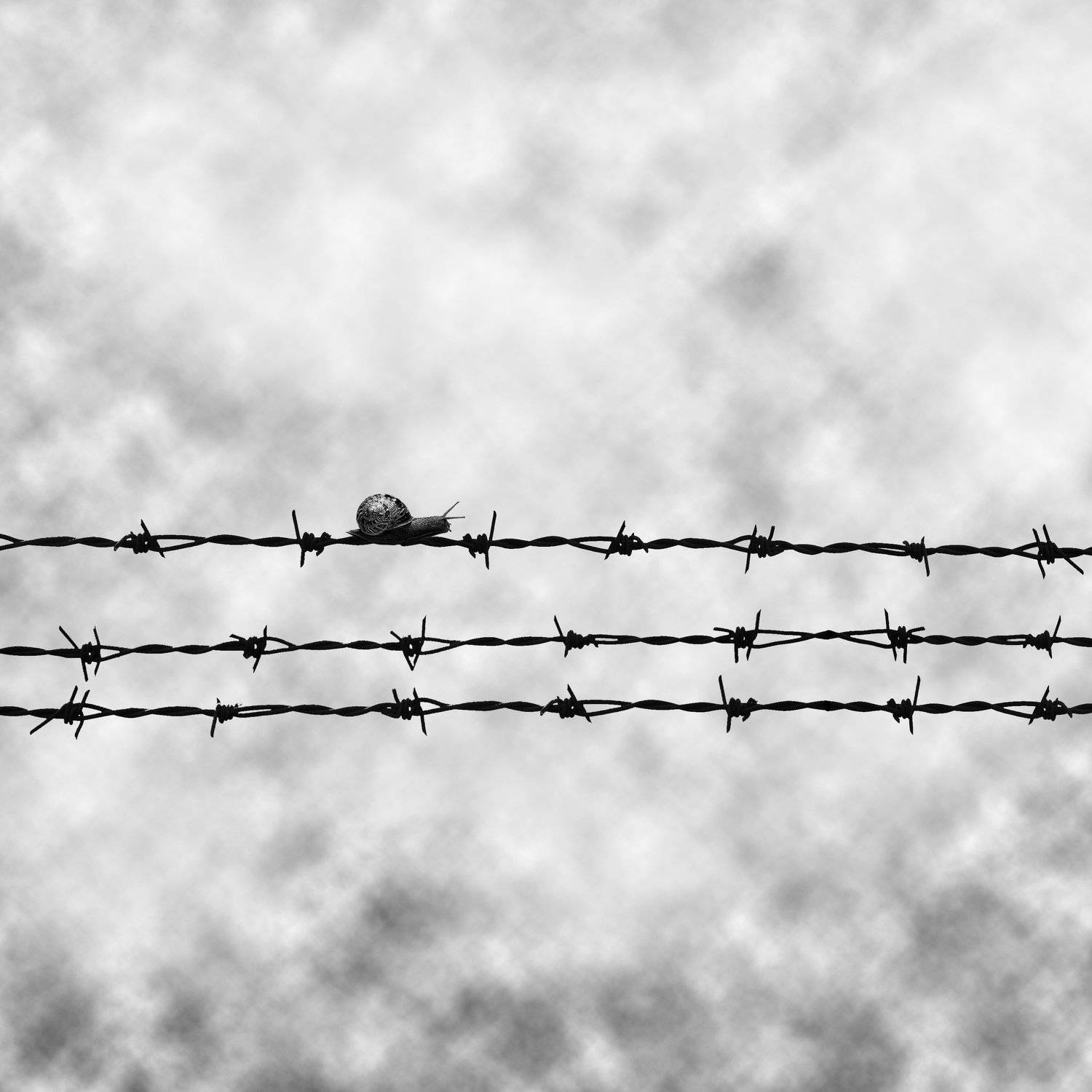 Hard way. Автор: Hadi Malijani , Hadi Malijani