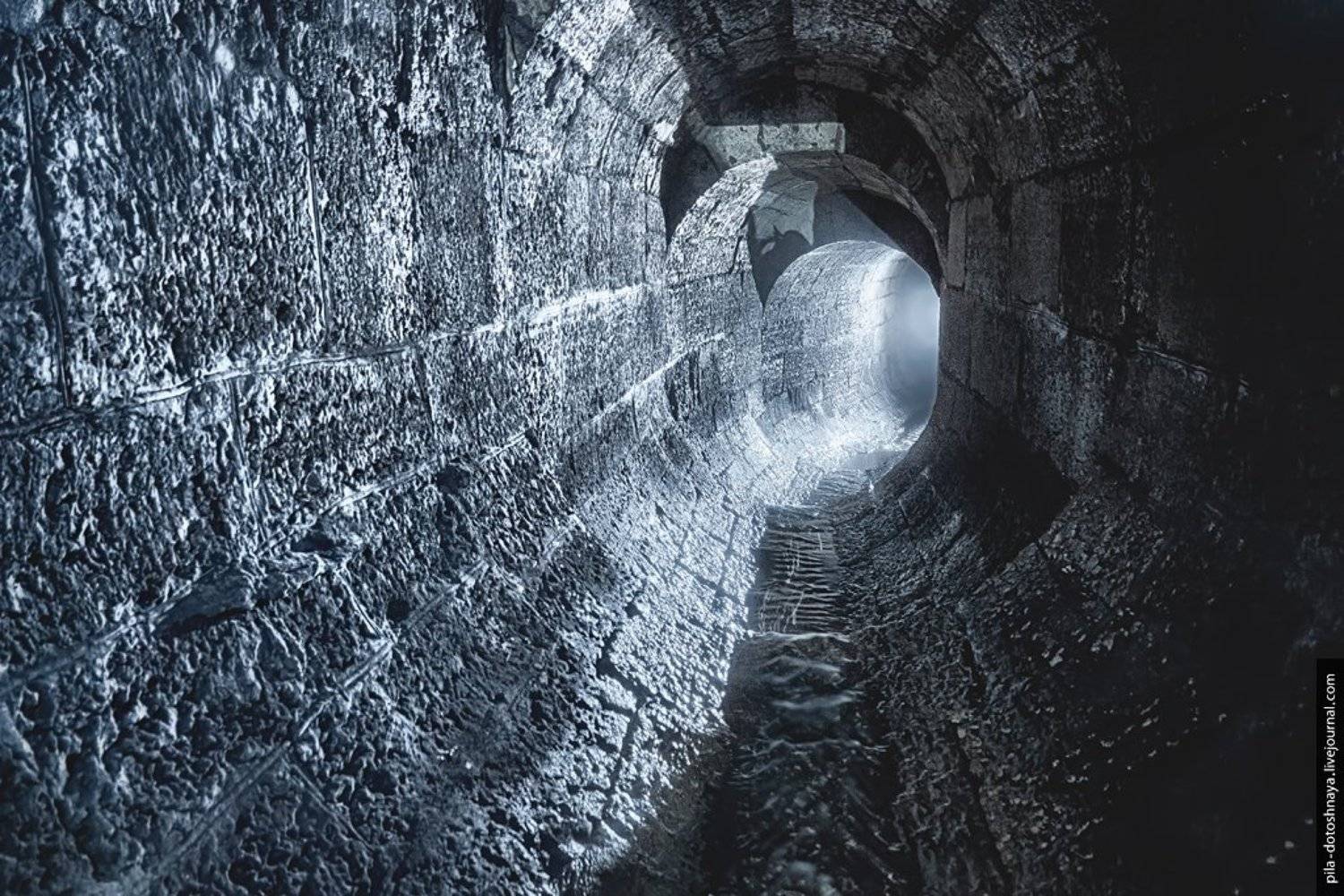 Черногрязка. Автор: Анна Аринова , Анна Аринова