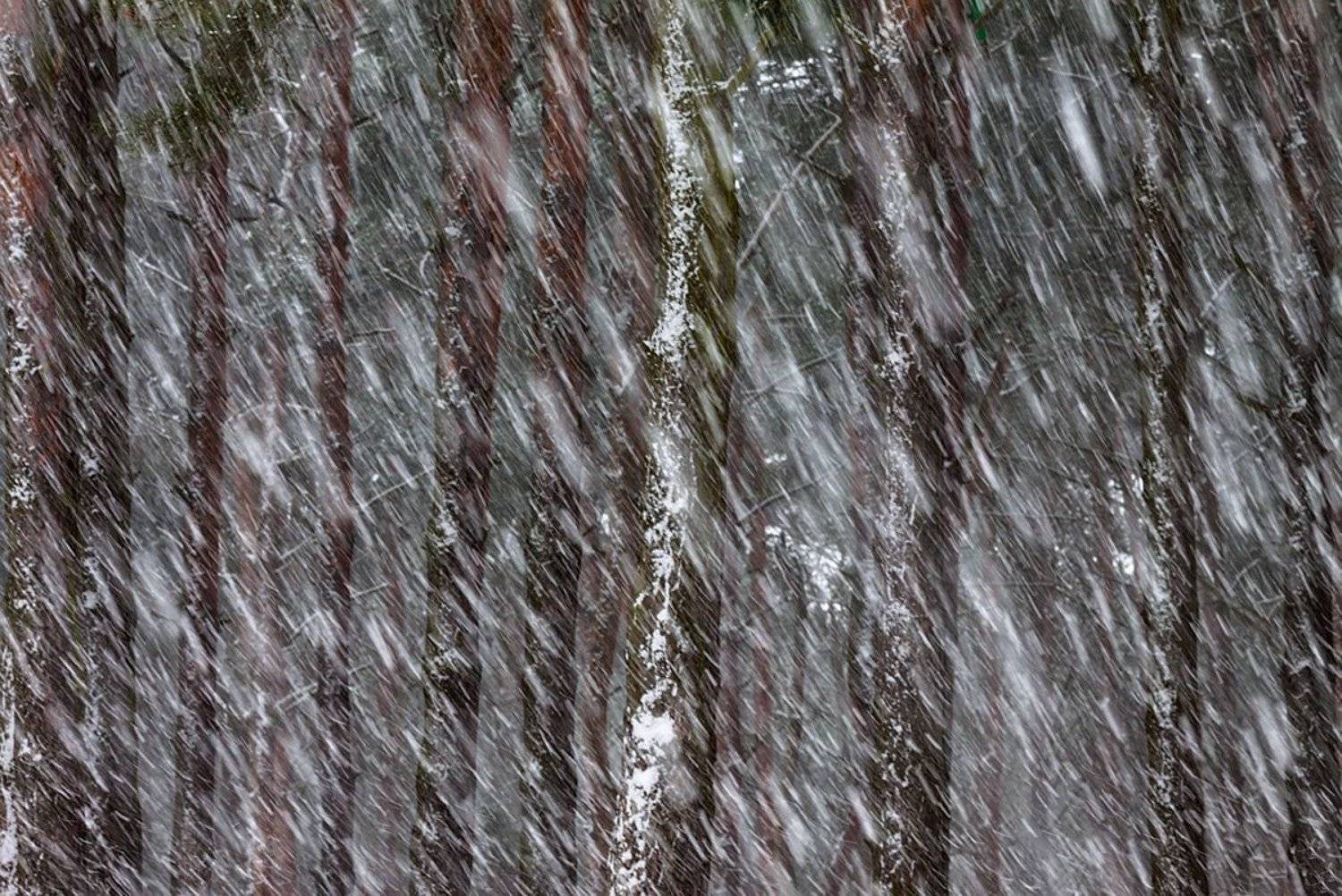 , Геннадий Новов