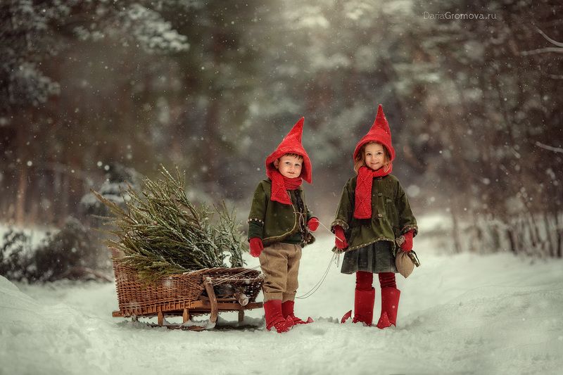 портрет, дарья громова, фотография, фото, фотоарт, фотограф, закат, детский портрет, дети, ребенок, сестры, малыш, девочка, мальчик, детская, фотосессия, фотосъемка, гномы, сани, санки, зима, новый год Елочка для гномовphoto preview