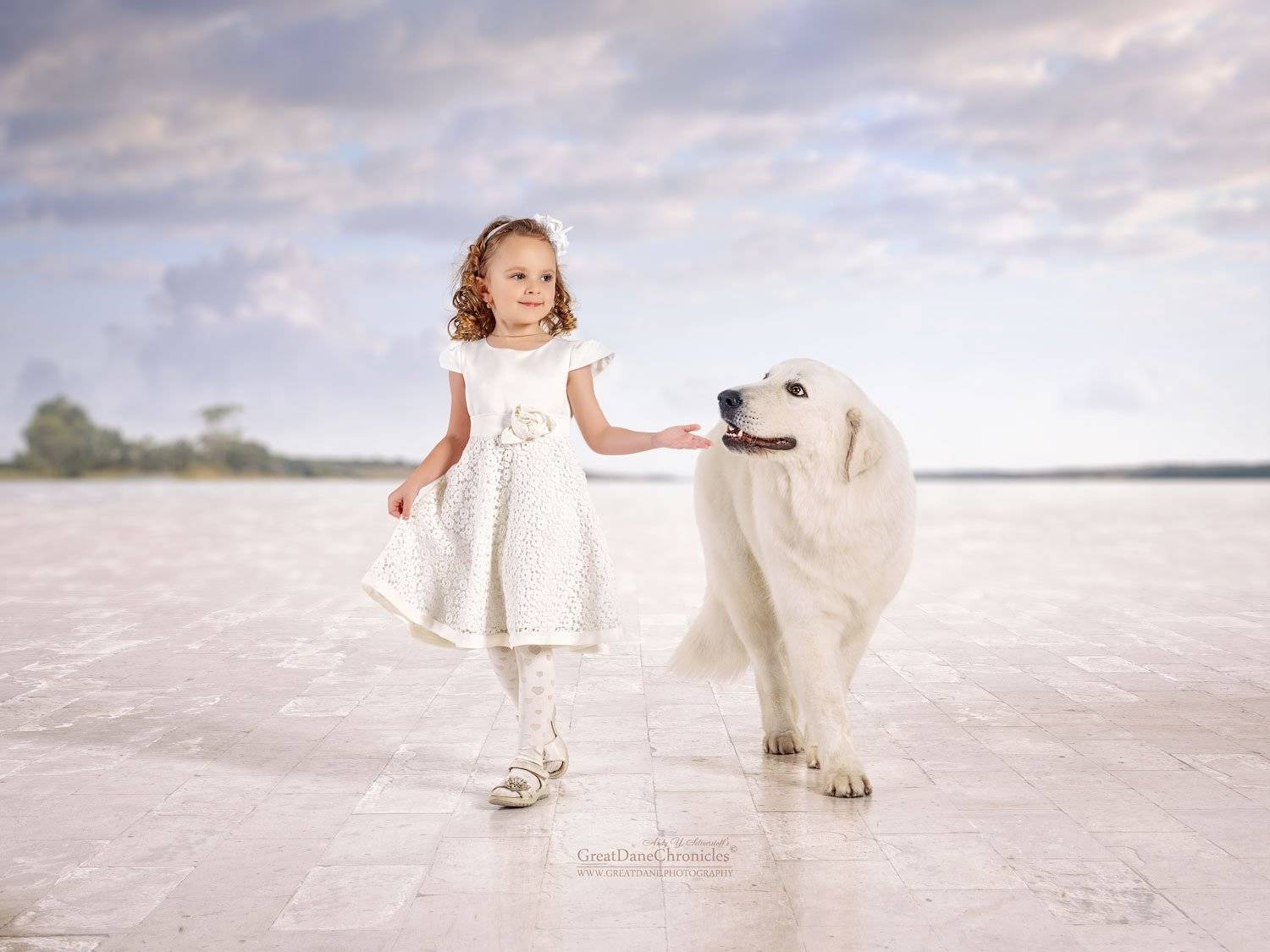 , Андрей Селиверстов