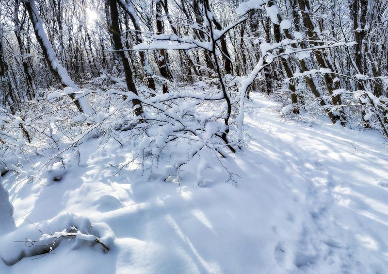 панорамки, камера телефона nokia x2 , cs 5 Зимние бродилки-1photo preview