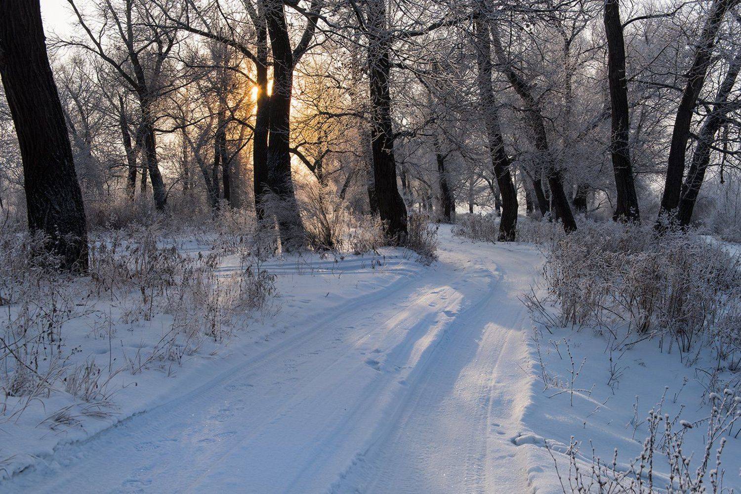 , Орлов Михаил