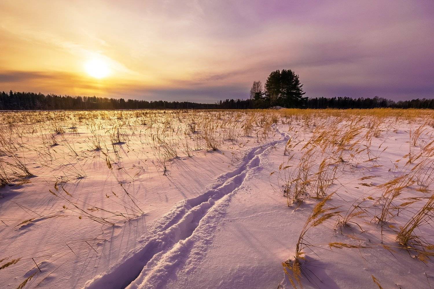 зима, вечер, поля, поле, лес, снег, закат, небо, солнце, Дмитриев Алексей