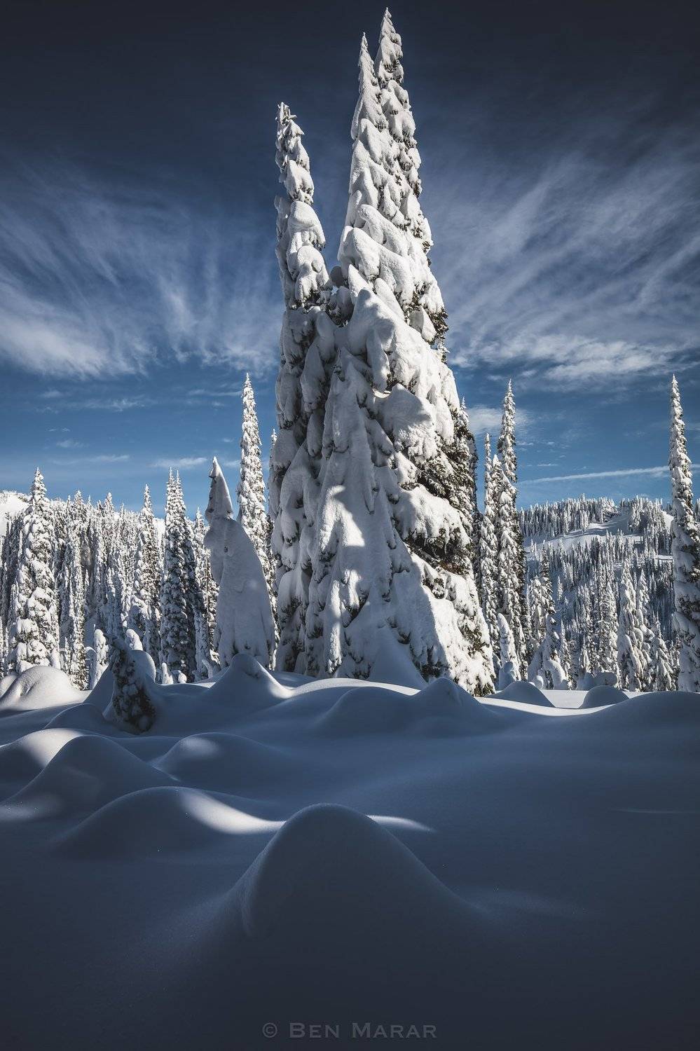 Under a Warm Coat. Автор: Ben Marar snow, winter, tree, clouds,, Ben Marar