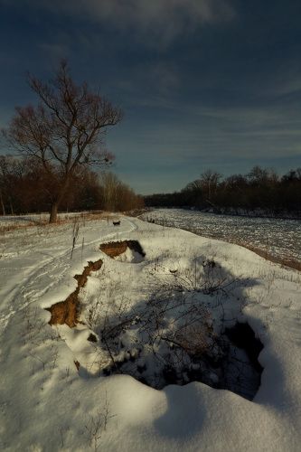 Январские зарисовки.