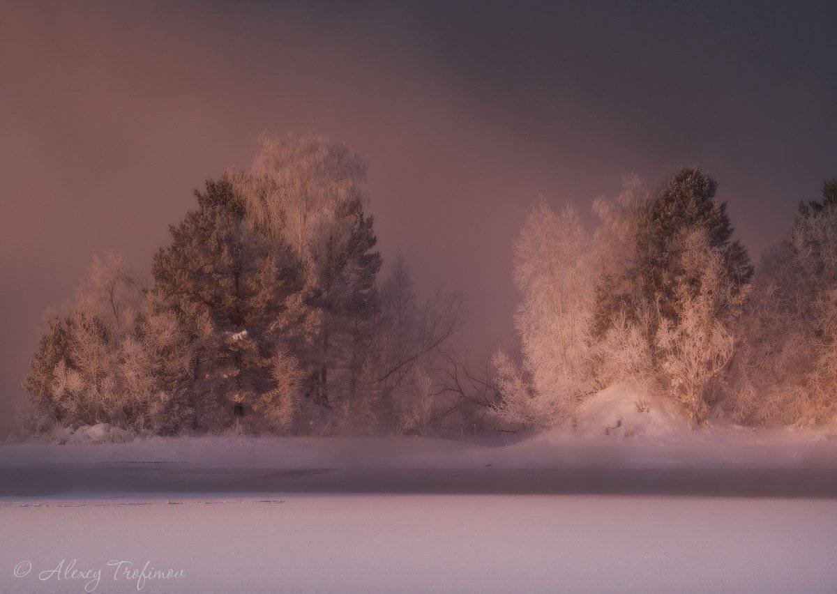 Середина зимы. Автор: Алексей Трофимов , Алексей Трофимов