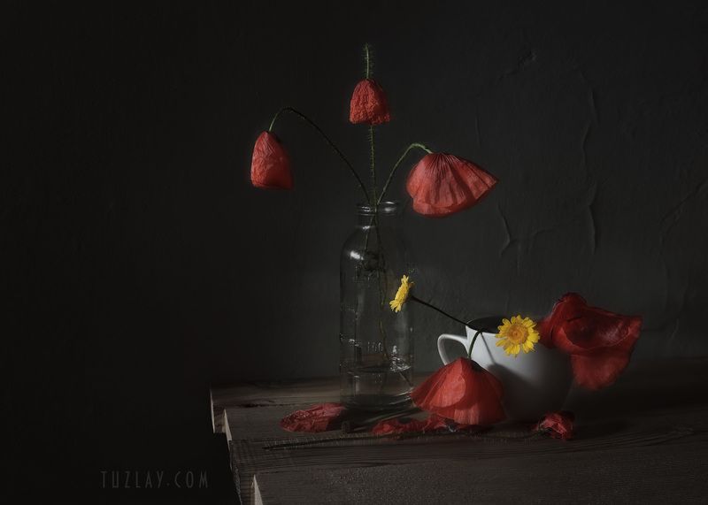 Лето в ...photo preview