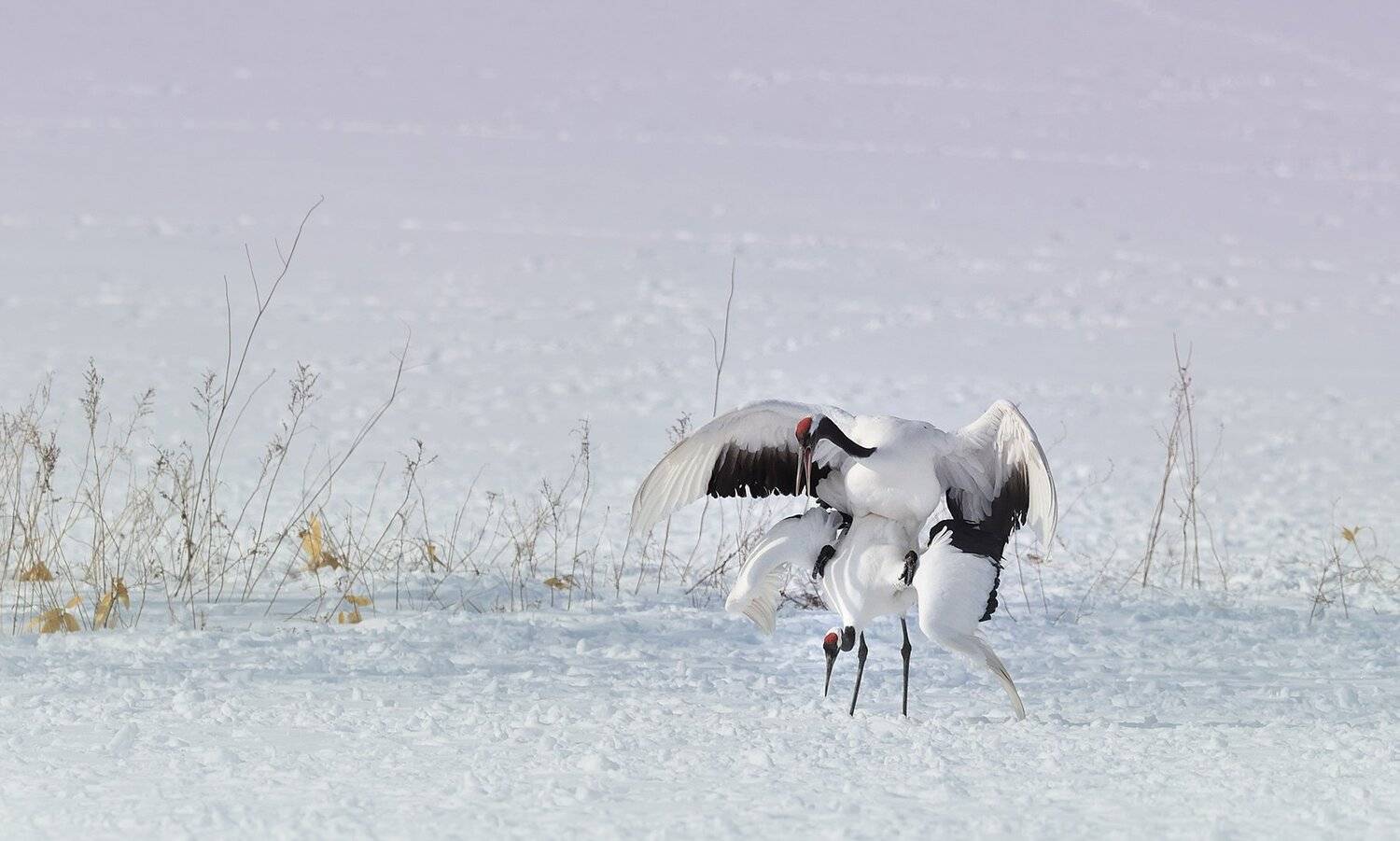 Time of peak. Автор: suk eun kim , suk eun kim