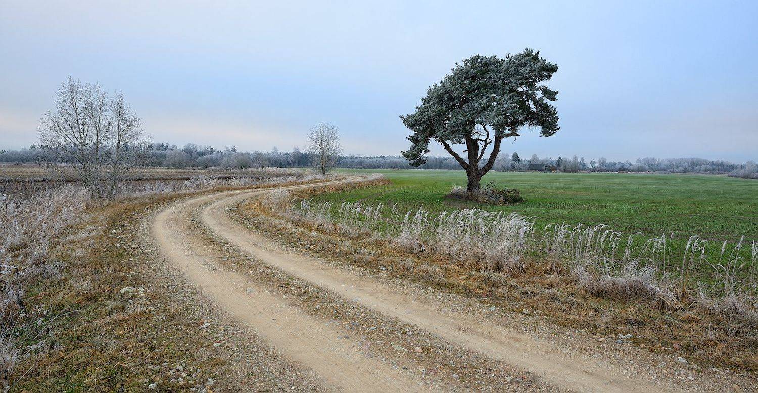пейзаж море мороз рассвет, Алексей Мельситов