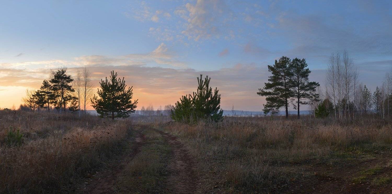 вечерний свет, ноябрь, дорога, закат, холодный вечер, тишина, дымка, Irina Shapronova
