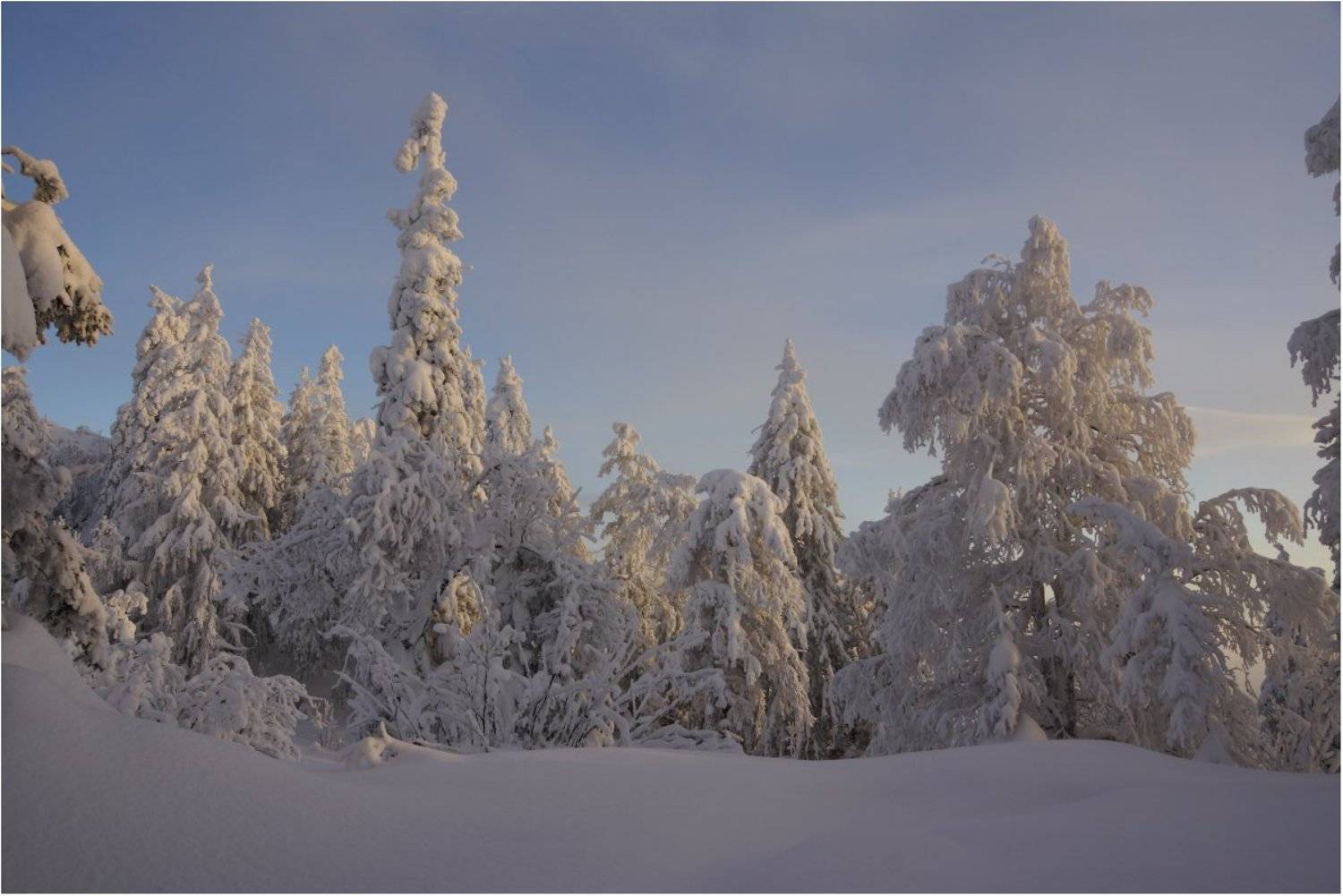 Снежная.... Автор: Кондратьев Алексей , Кондратьев Алексей