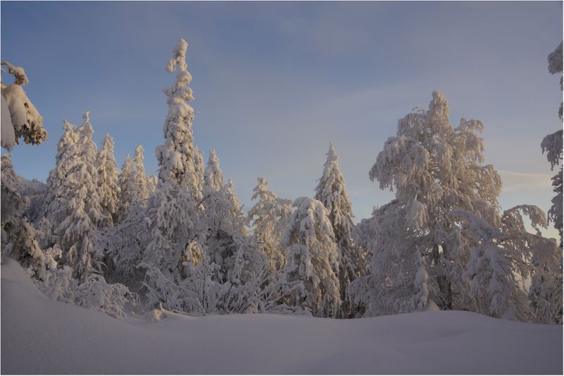 Снежная...photo preview