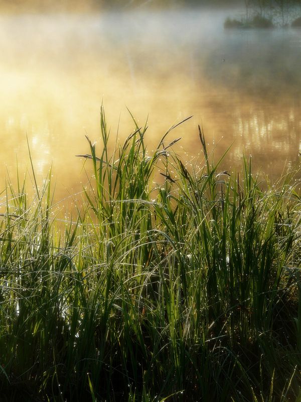 Холодное утроphoto preview