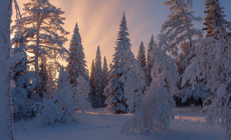 Ласковый холод photo preview