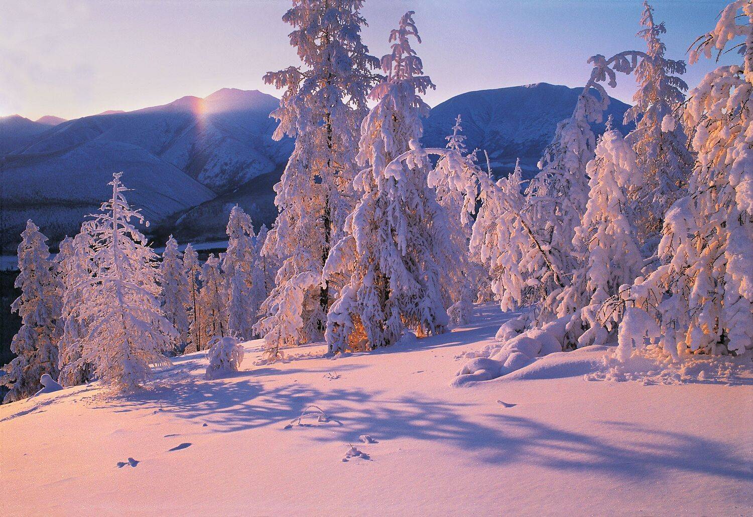 Фототуры с Владимиром Рябковым, Индигирка, зима в Якутии. , Владимир Рябков