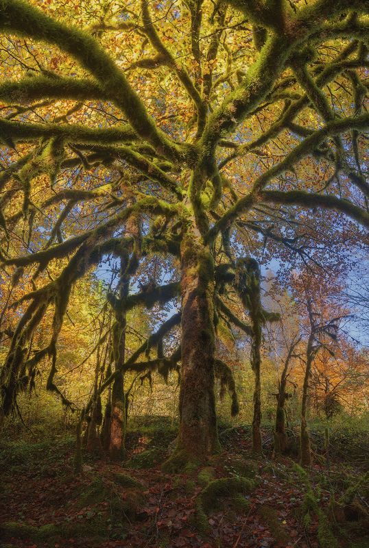 france, jura France. Juraphoto preview