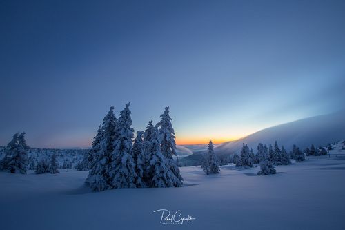 Winter Wunderland