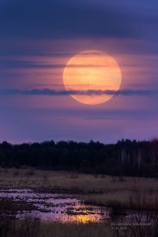 Super Blue Blood Moon - raz na 150 latphoto preview