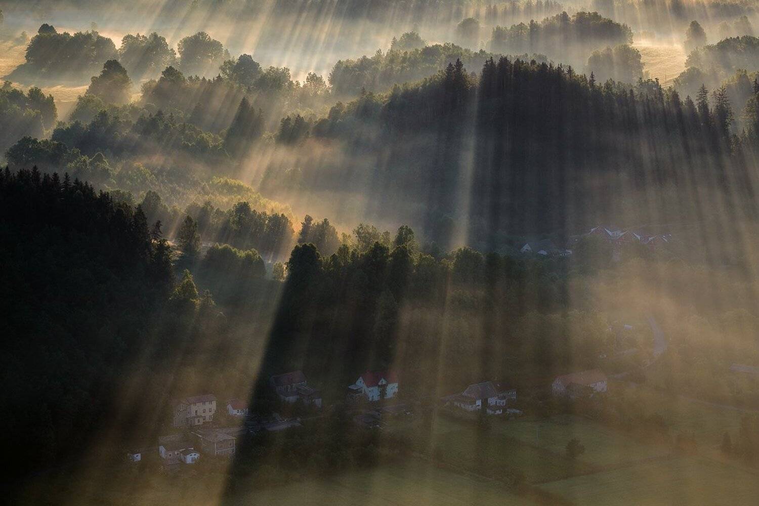 landscape,canon,mist,light,autumn, Iza i Darek Mitręga