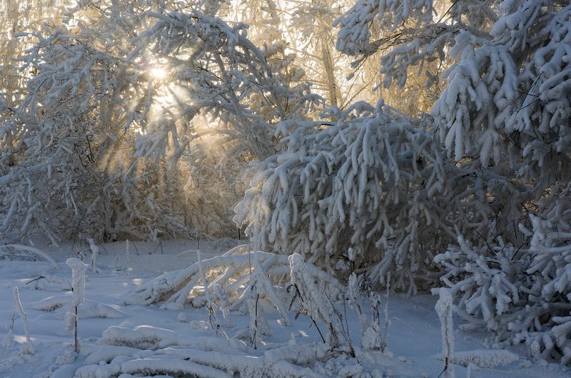 Так светит солнце в зимний деньphoto preview