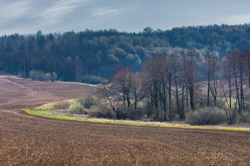 Весна идет! Весне дорогу!photo preview