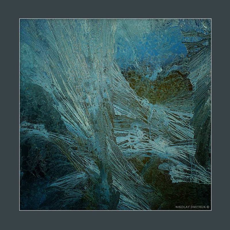 макро, мороз, музыка saga. 2018photo preview