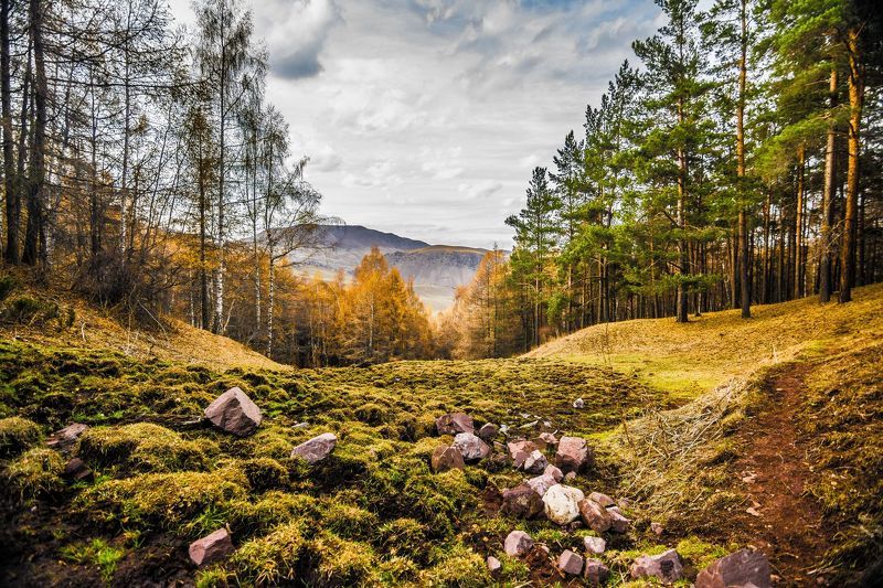 горы, осень, природа, пейзаж, лес, деревья Осеньphoto preview