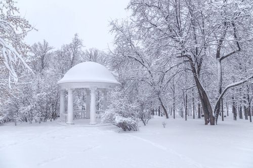 В заснеженном парке