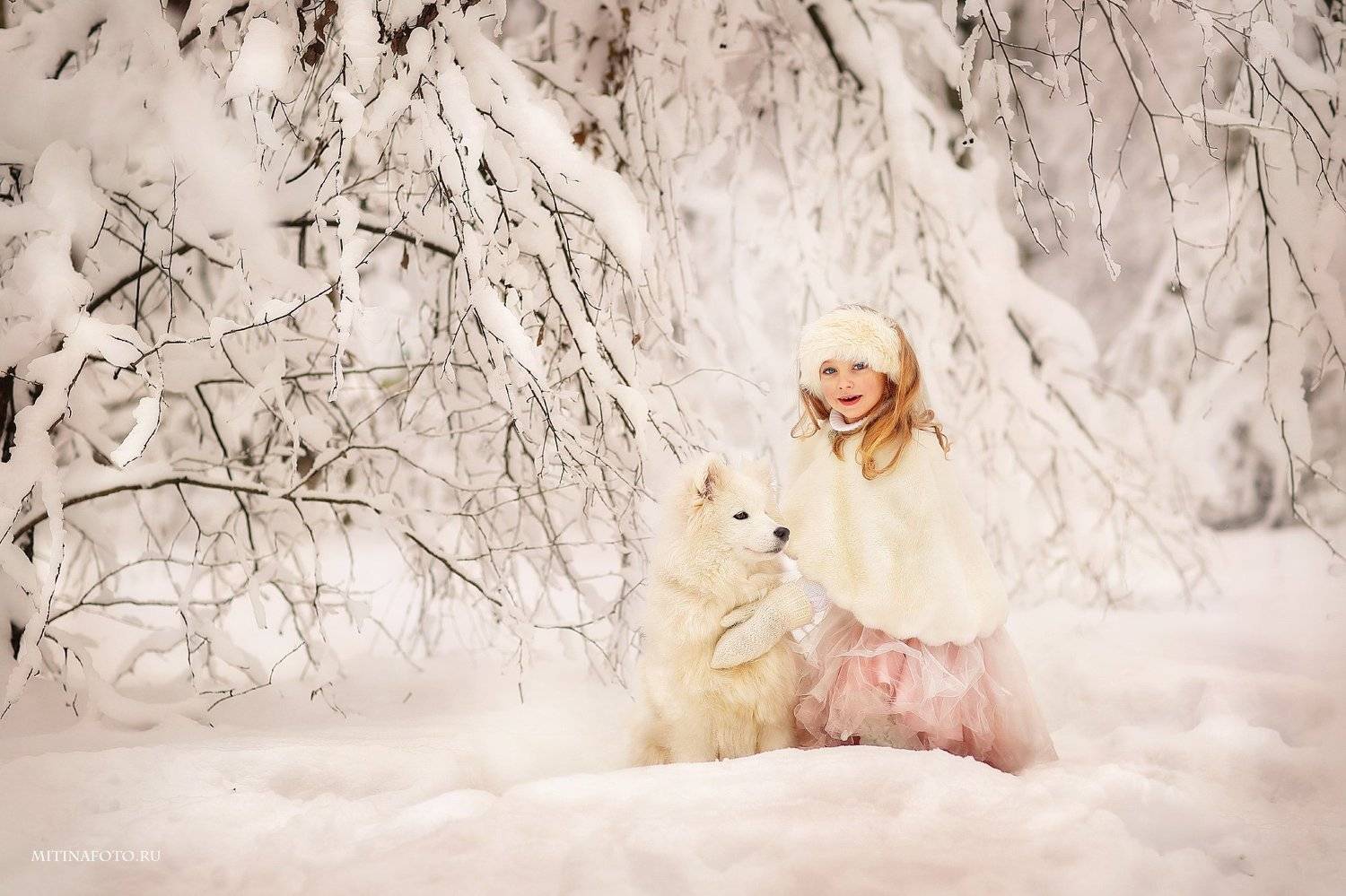 В волшебном лесу. Автор: Митина Оксана , Митина Оксана