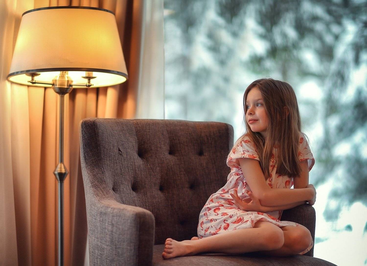 Алиса. Автор: Петрова Анна , Петрова Анна