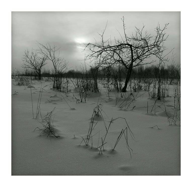 , Александр Гришаев