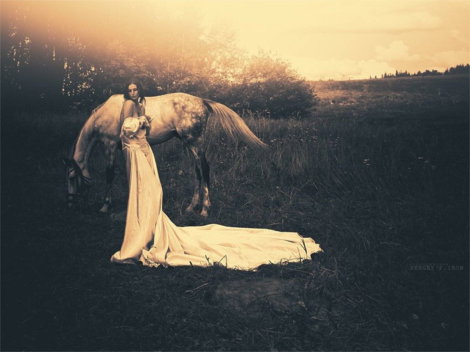 ............... Автор: Sergey P. Iron , Sergey P. Iron