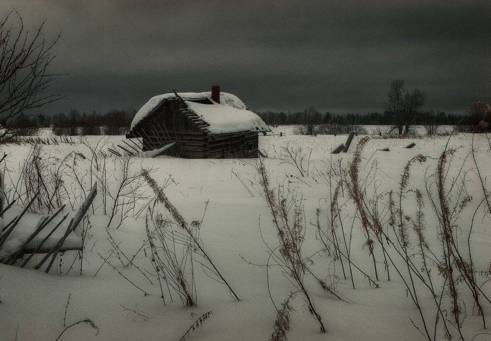 , Владимир Липецких