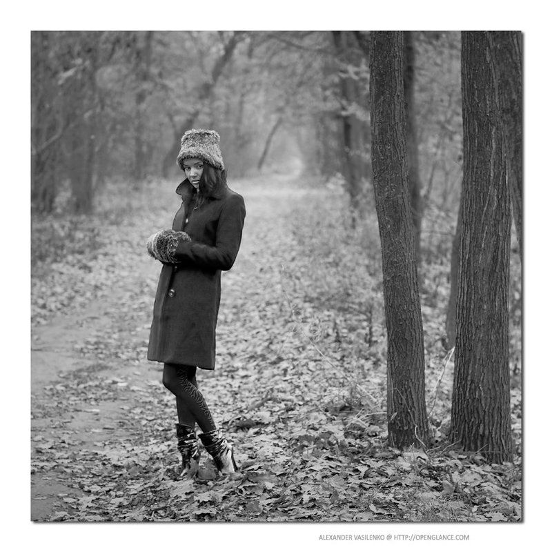 Autumn voices...photo preview