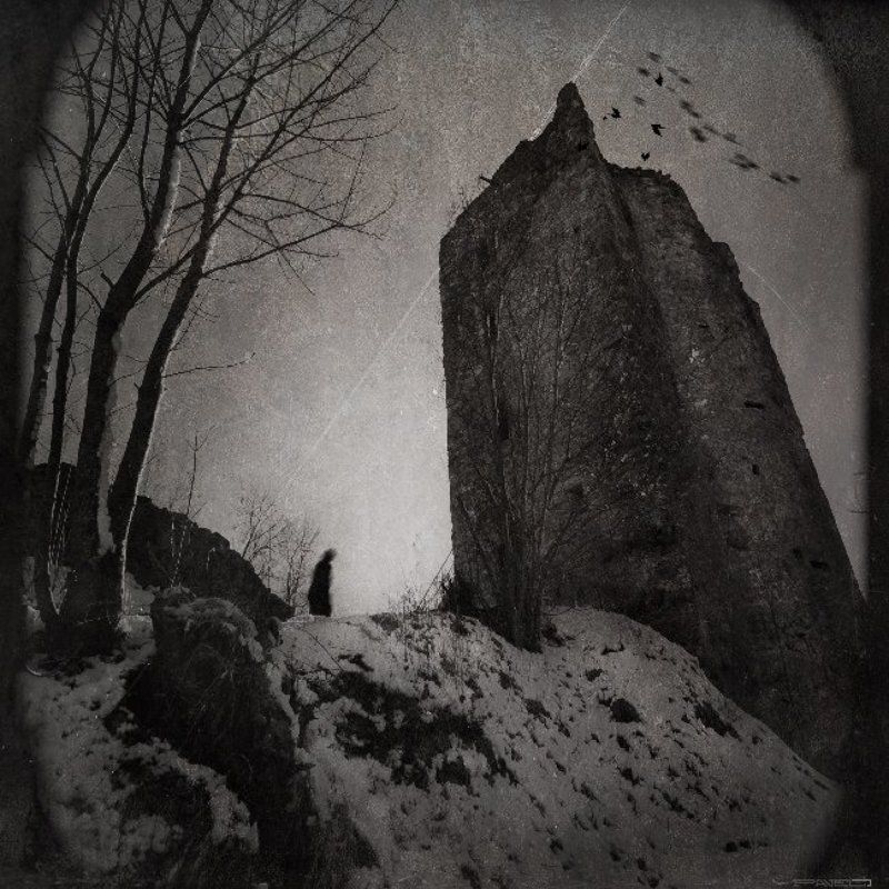 alone .photo preview