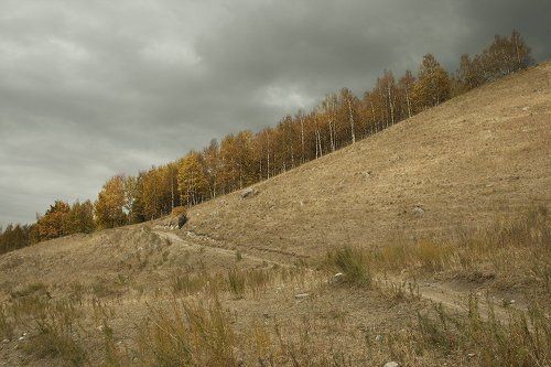 Диагональность