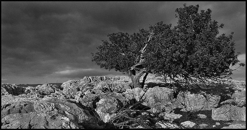 ветерphoto preview