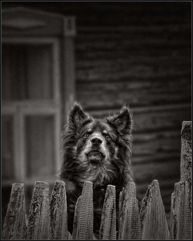 За сохранность имущества, отвечаю Я ...photo preview