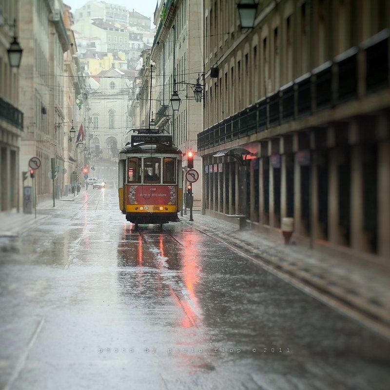 In Lisbon rain.