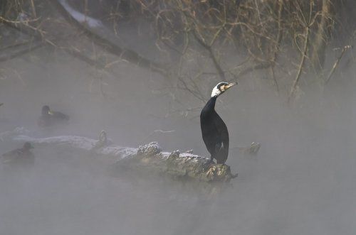 Я тут живу..... пока