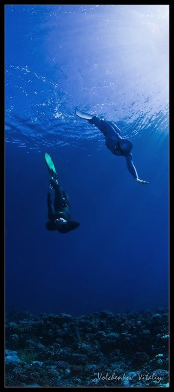 фото Дуэтphoto preview