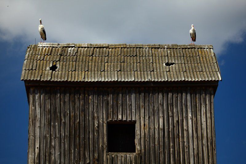 Двоеphoto preview