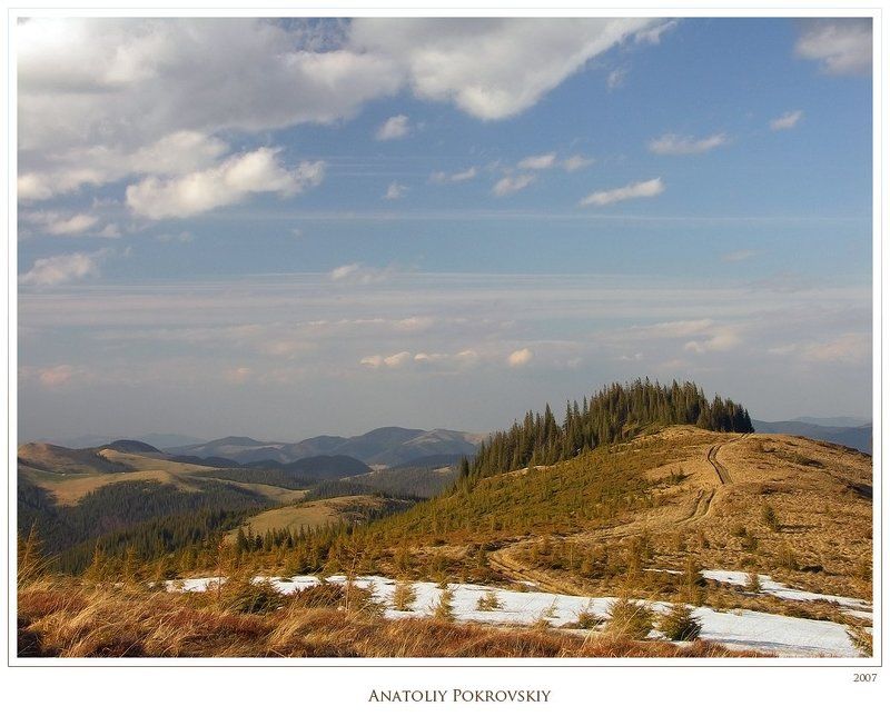 Дикие Карпатыphoto preview