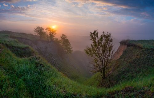 Мгновения утренней свежести
