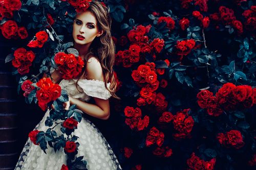 Scent of a Rose