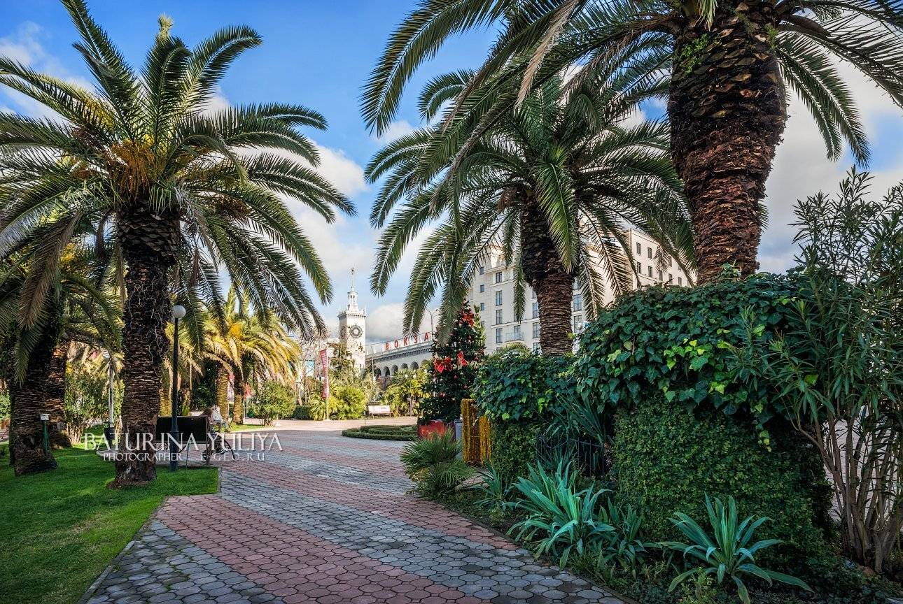 Пальмы и Новый год в Сочи. Автор: Юлия Батурина россия, сочи, новый год, елка, пальма, тепло, архитектура, вокзал, Юлия Батурина