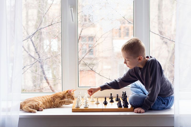 Партияphoto preview