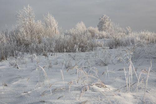 Морозно