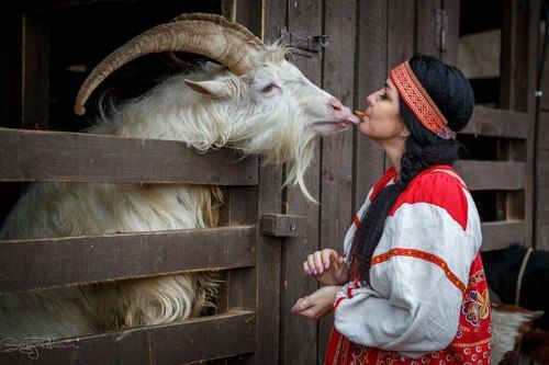 Любовь зла... этим козлы и пользуются))